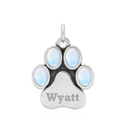 Personalized Paw Print Necklace, Ultimate PawFection Pendant