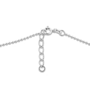 Heart and Paw Charm Anklet, Sterling Silver One Love Ankle Bracelet, w/Close To My Heart